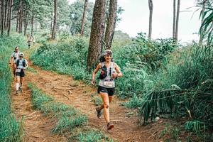 BIB: 
                            <button type="button" onclick="openModal(25658061)" class="btn btn-primary btn-sm float-right btn-popup" data-toggle="modal" data-target=".modal-high-quality">
                        <i class="fas fa-shopping-cart"></i> Add to Cart
                    </button>
                                            <button type="button" onclick="isThisMe(25658061, true)" class="btn btn-success btn-sm float-right btn-popup btn-isme hidden" data-toggle="tooltip" data-placement="bottom" title="นี่คือรูปของคุณใช่ไหม คลิกที่นี่เพื่อเอาเข้าอัลบั้ม">
                        <i class="fas fa-plus"></i> Add to album
                    </button>
                    <button type="button" onclick="isThisMe(25658061, false)" class="btn btn-warning btn-sm float-right btn-popup btn-isnotme hidden">
                        <i class="fas fa-ban"></i> Remove from album
                    </button>